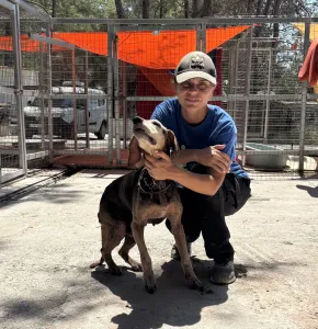 Adopt Magi