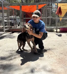 Adopt Magi