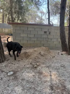 Adopt Maria