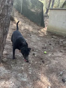 Adopt Maria