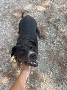 Adopt Maria