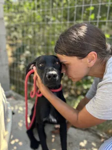 Adopt Zero