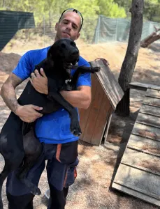 Adopt Azour