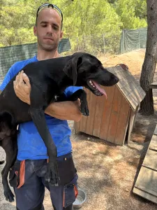 Adopt Azour