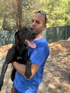 Adopt Azour