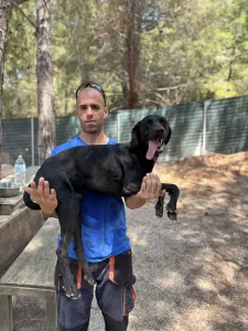 Adopt Azour