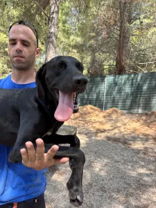 Adopt Azour