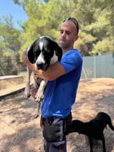 Adopt Rumi