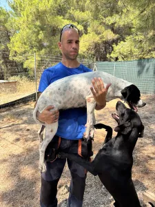 Adopt Rumi
