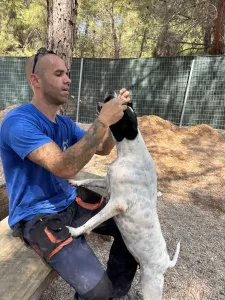 Adopt Rumi