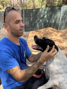 Adopt Rumi