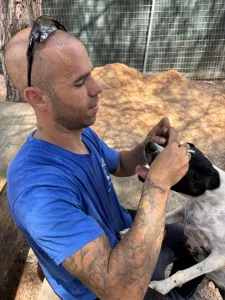 Adopt Rumi