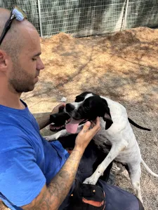 Adopt Rumi