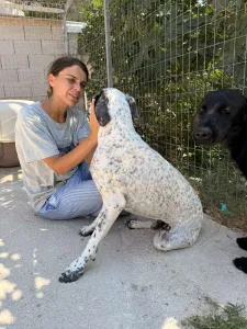 Adopt Sami
