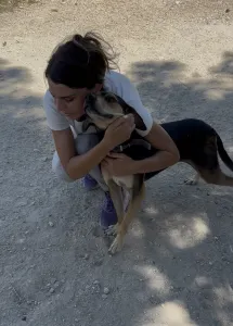 Adopt Ken