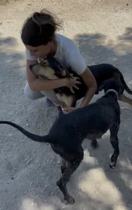 Adopt Ken