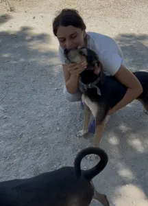 Adopt Ken