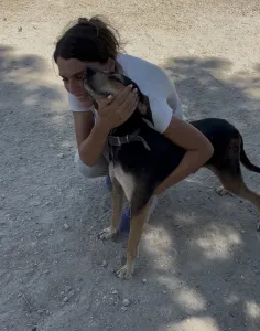 Adopt Ken