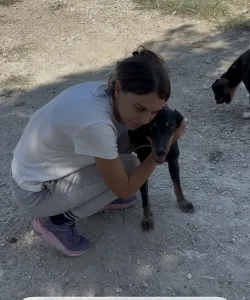 Hund Popi adoptieren