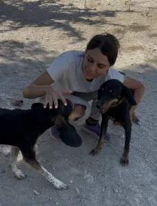 Hund Popi adoptieren
