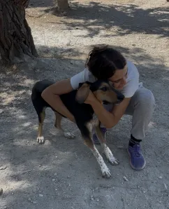Adopt Casper