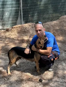 Adoptie hond Pix