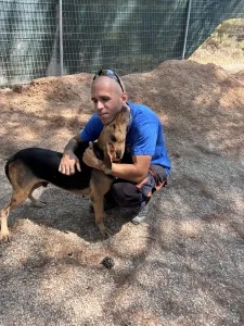 Adoptie hond Pix
