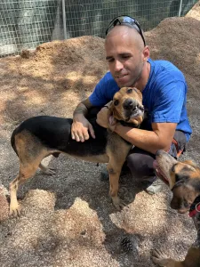 Adoptie hond Pix