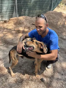 Adoptie hond Pix