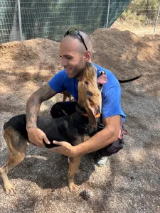Adoptie hond Pix