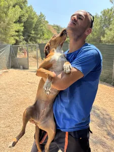 Υιοθεσία σκύλου Tara