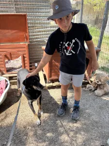 Adopt King