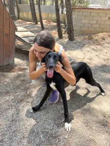 Hund Lusy adoptieren