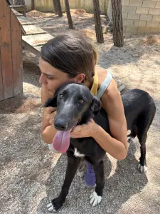 Hund Lusy adoptieren