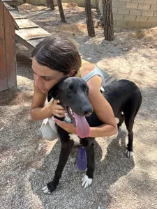 Hund Lusy adoptieren