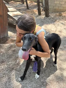 Hund Lusy adoptieren
