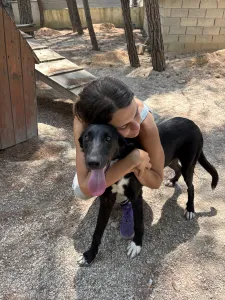 Hund Lusy adoptieren