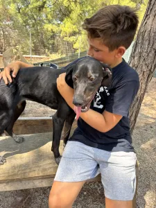 Adopt Bizi