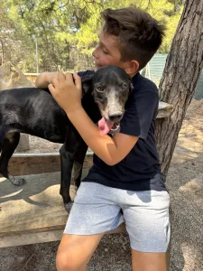 Adopt Bizi