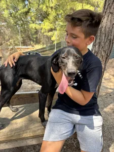 Adopt Bizi