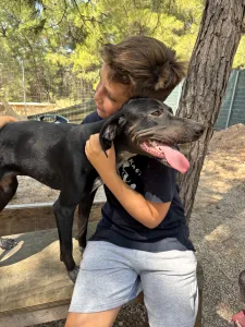 Adopt Bizi