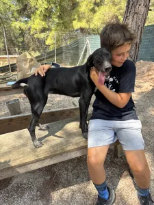 Adopt Bizi