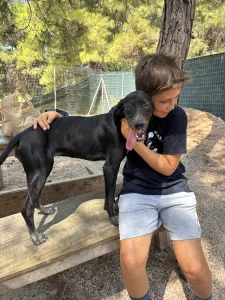Adopt Bizi