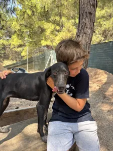 Adopt Bizi