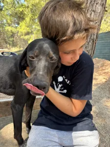 Adopt Bizi