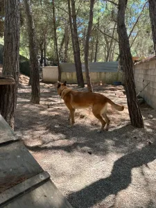 Adopt Mouxtar
