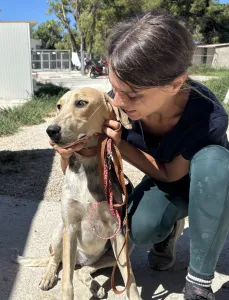 Adopt Pony