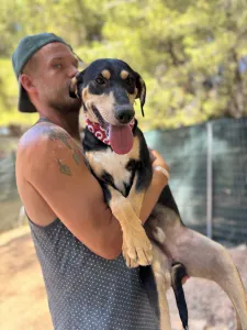 Adopt Axileas