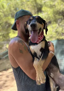 Adopt Axileas