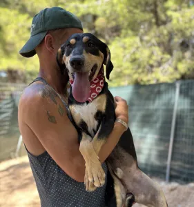 Adopt Axileas